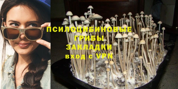 герыч Арсеньев