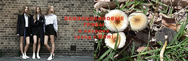 герыч Арсеньев