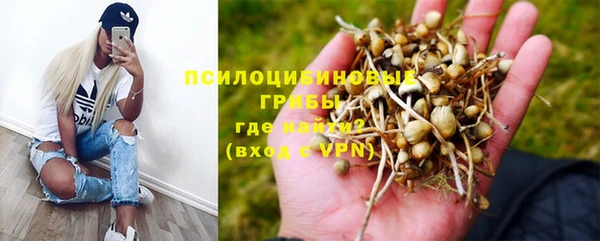 герыч Арсеньев
